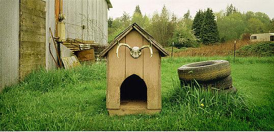 欧服 NSO 试玩同乐会新一期免费游戏 《洞穴探险2》